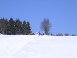 Rodeltag 2006